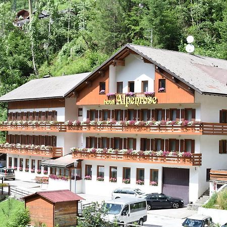 Hotel Alpenrose Alleghe Exteriör bild