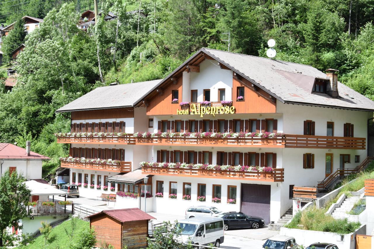 Hotel Alpenrose Alleghe Exteriör bild